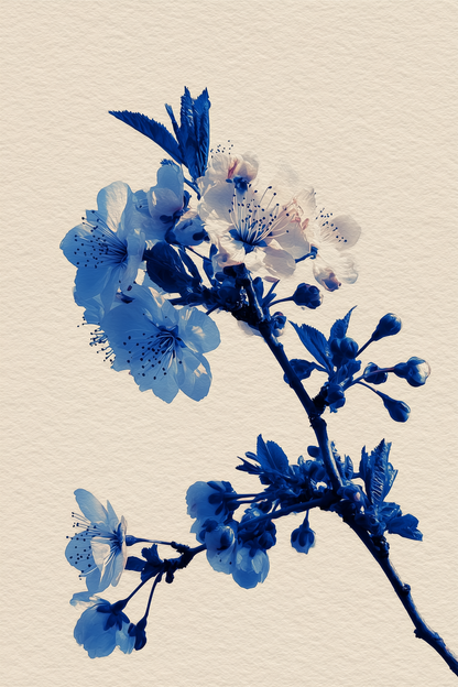 Sakura Watercolor Wall Art | Blue & Blush Japanese Print