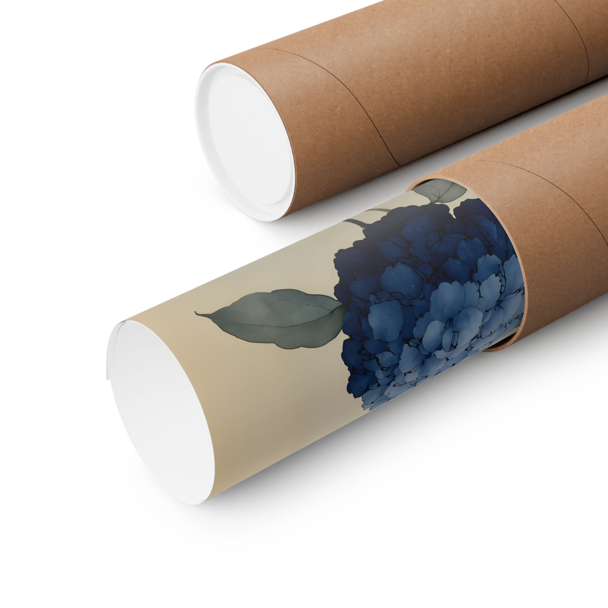 Two Hydrangeas print rolled in a kraft cardboard shipping tube, showing how unframed prints are sent, Yugen Print