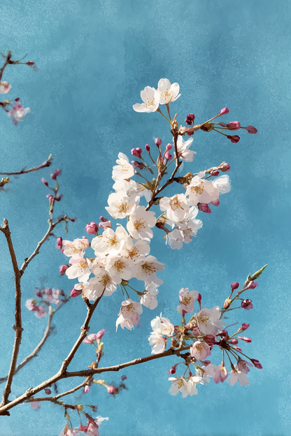 Cherry blossom branch wall art print with pink sakura blooms against soft blue sky, Japanese spring botanical art, Yugen Print
