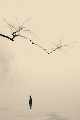 The Branch and the Wayfarer AI-assisted sumi-e ink wall art print of a lone figure beneath a bare branch in sepia and charcoal on cream, Yugen Print