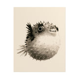 Fugu Bloom sumi-e ink pufferfish wall art print in grey and black on cream paper, a plump pufferfish with soft spines fanned out like a bloom