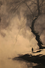 Winter Willow sumi-e ink print by Yugen Print: an old willow tree leans over a snowy riverbank in sepia mist, with a small figure standing near its roots
