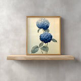 Two Hydrangeas print in a wood frame on a floating shelf against a grey plaster wall, Yugen Print